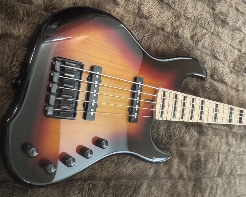 Mane Custom Bass Standard 5 String