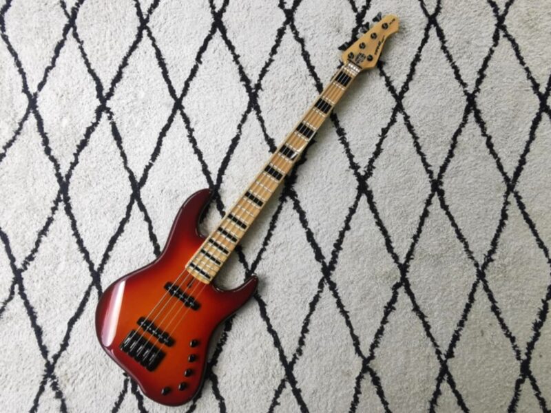 Mane Custom Bass Standard 5 String - Image 17