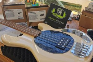 Set Up & Strings for Jasten